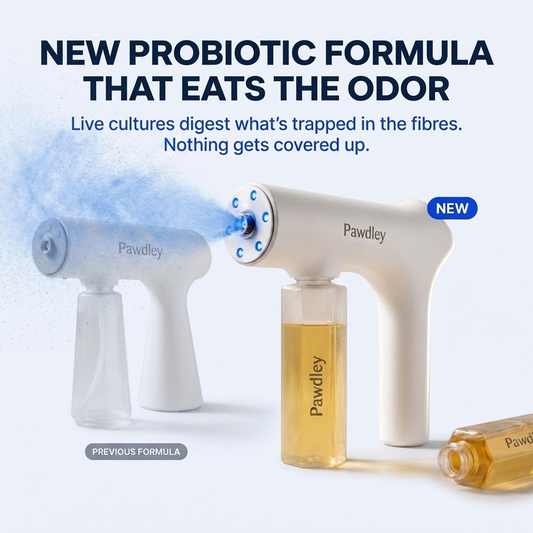 3x Probiotic Refills